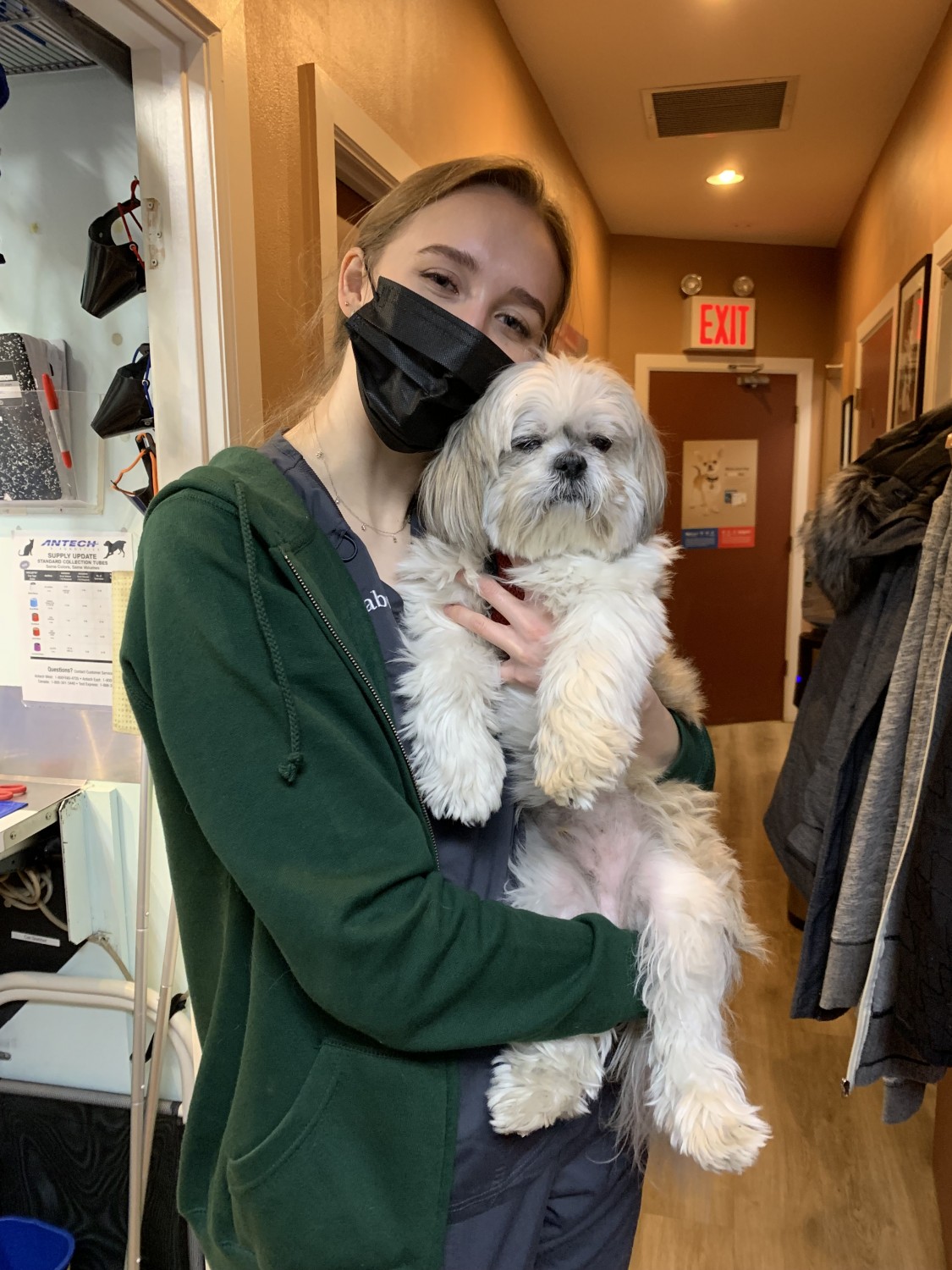 Meet VA Isabel!