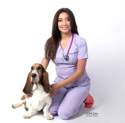 Meet VA Karla!