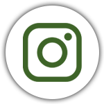 Instagram Icon