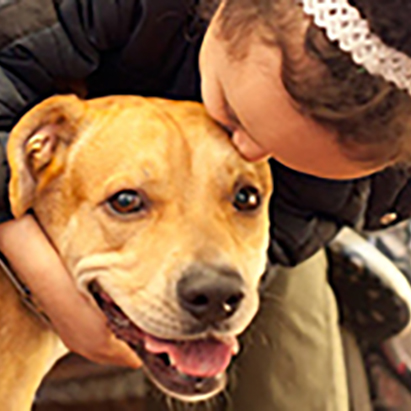 Person kissing dog